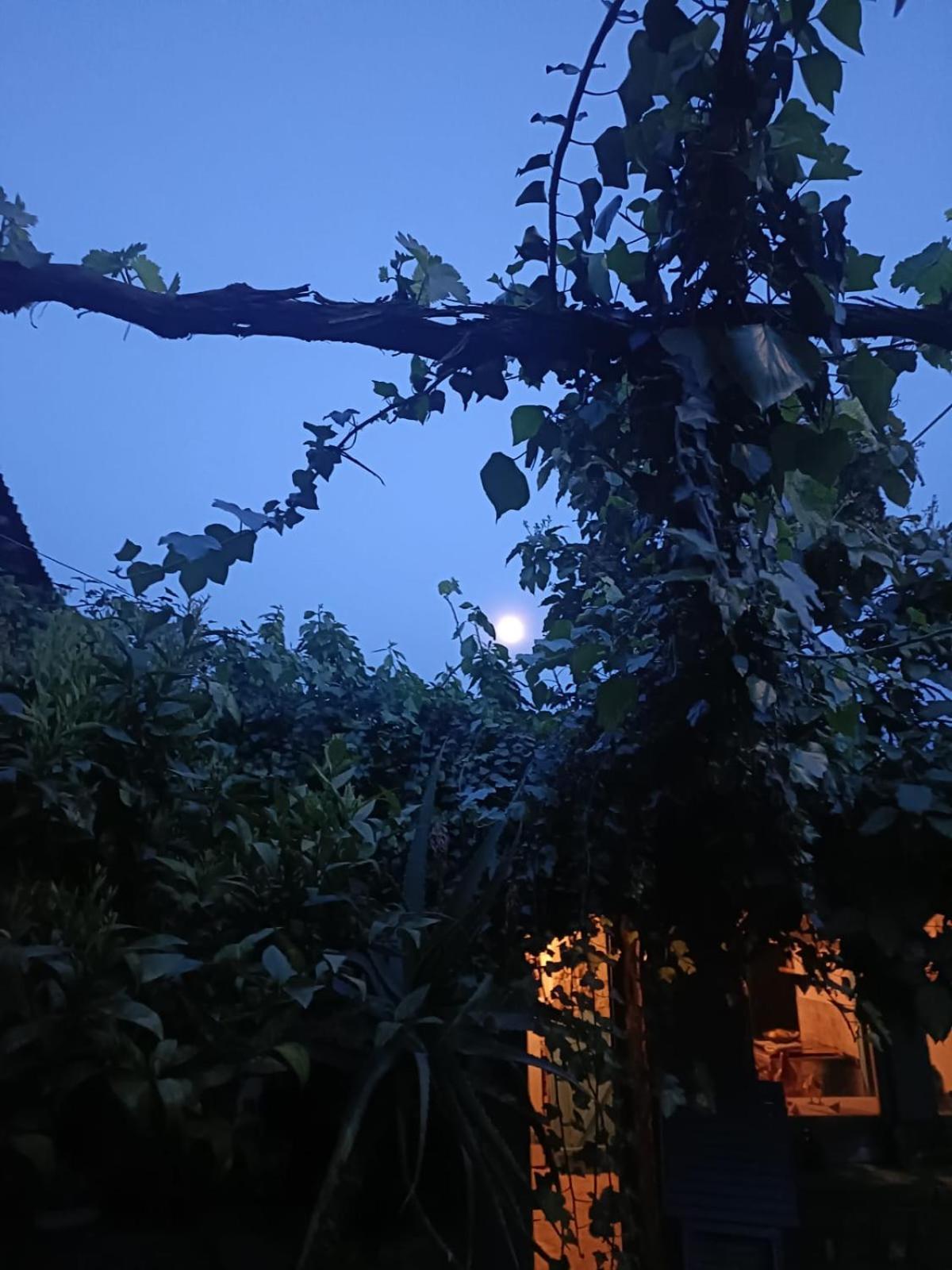 Andrebyke Villa Gergei Bagian luar foto